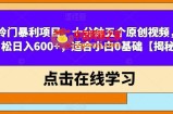 冷门暴利项目，十分钟五个原创视频，轻松日入600+，适合小白0基础【揭秘】