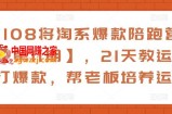 108将淘系爆款陪跑营【第11期】，21天教运营打爆款，帮老板培养运营