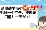 亲测薅羊毛小项目，2毛钱一个广告，提现无门槛！一天50+【揭秘】