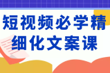 短视频必学精细化文案课，提升你的内容创作能力、升级迭代能力和变现力（价值333元）