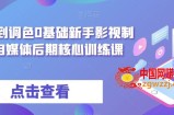 从剪辑到调色0基础新手影视制作，自媒体后期核心训练课