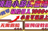 烧脑小游戏直播，单账号日入1000+，无需露脸，小白可轻松上手（保姆级教程）【揭秘】