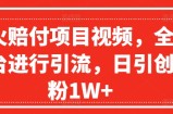 爆火赔付项目视频，全网平台进行引流，日引创业粉1W+【揭秘】