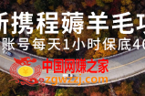 （7995期）全新携程网撸羊毛新项目，单账户每日1钟头保底收益40 ，可引流矩阵实际操作