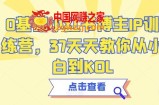 0基础小红书博主IP训练营，37天天教你从小白到KOL