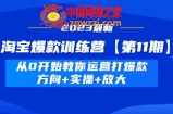 淘宝爆款训练营【第11期】 从0开始教你运营打爆款，方向+实操+放大