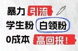 暴力行为引流方法学生们粉上班族粉，完爆过去废弃物游戏玩法，0成本费，高收益