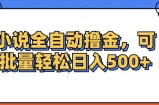 （12244期）小说全自动撸金，可批量日入500+