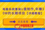 电脑系统重装U盘制作，年赚30W的长期项目【详细教程】