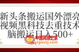 最新头条搬运国外漂亮美女视频黑科技去重技术无脑搬运日入500+【揭秘】