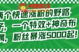 两个快速涨粉的野路子，一个特效+神奇布偶，粉丝暴涨5000起【揭秘】