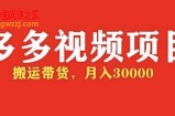 多多带货视频快速50爆款拿带货资格，搬运带货 月入3w【全套脚本+详细玩法】