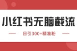 小红书只要你有同行就能获客，独家野路子获客玩法，暴力截流【揭秘】
