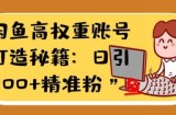 闲鱼高权重账号打造秘籍：日引200+精准流量，轻松变现实战指南