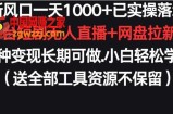 新风口一天1000+已实操落地购物平台短剧无人直播+网盘拉新+带货多种变现长期可做【揭秘】