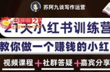 苏阿九第六期21天小红书训练营，打造爆款笔记，教你做一个赚钱的小红书