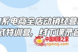 淘系电商全店动销经营模式特训营，线下课录音