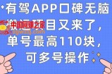有驾APP口碑无脑搬运项目又来了，单号最高110块，可多号操作