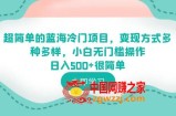 超简单的蓝海冷门项目，变现方式多种多样，小白无门槛操作日入500+很简单