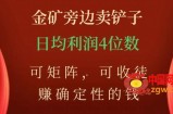 金矿旁边卖铲子，赚确定性的钱，可矩阵，可收徒，日均利润4位数【揭秘】
