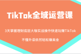 TikTok全域运营课，大咖实战操作快速玩赚TikTok，不懂外语依然轻松赚美金！