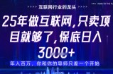 什么！25年你还在找项目做？风口早就变了，卖项目才是稳挣不赔【揭秘】
