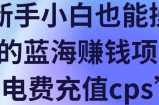新手小白也能操作的蓝海赚钱项目‘电费充值cps’【视频教程】