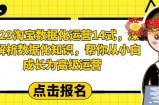 2023淘宝数据化运营14式，深度解析数据化知识，帮你从小白成长为高级运营
