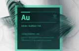 Au教程_AUDITION CC零基础入门到精通视频课程