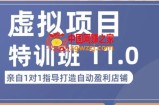 陆明明·虚拟项目特训班（10.0+11.0），0成本获取虚拟素材，0基础打造自动盈利店铺