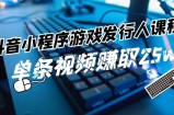 （11766期）抖音小程序-游戏发行人课程内容：带你玩转任务转现，一条短视频获得25w
