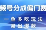 视频号创作者分成计划偏门类目，容易爆流，实拍内容简单易做【揭秘】