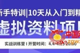 虚拟资料项目新手特训，10天从入门到精通，保姆级实操教学