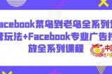 Facebook菜鸟到老鸟全系列运营玩法+Facebook专业广告投放全系列课程