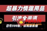 最新情趣项目引流全渠道，自带高流量，保姆级教程，轻松破百单，日引500+粉【揭秘】