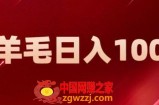 新平台零撸薅羊毛，一天躺赚100＋，无脑复制粘贴【揭秘】