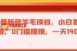 最新薅羊毛项目，小白首选，0门槛提现，一天140+【揭秘】