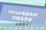 （12156期）TikTok电商布局实操运营课：从新手到精通，成为TikTok带货运营高手