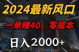 （11696期）2024全新蓝海项目，一单40，零成本，日入2000 ，新手也可以100%必赚