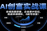 AI创富实战课：企业家IP定位，全域流量获客，低成本组团队，0起号创富！