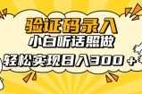 信息录入项目，10秒一单，新手小白听话照做快速上手，实现日入300＋