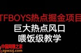 TFBOYS热点掘金项目，巨大热点风口，喂饭级教学
