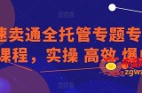速卖通全托管专题专项课程，实操 高效 爆单