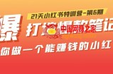 21天小红书特训营-第6期，打造爆款笔记，带你做一个能赚钱的小红书！