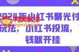 2024年小红书聚光付费玩法，小红书投流，充钱就开挂