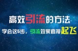 （11776期）高效率引流的方法，能够帮助你日引300 自主创业粉，一年轻轻松松收益30万，比工作强