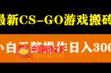 最新csgo游戏搬砖，无需挂机小白无脑也能日入300+