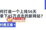 某付费文章《如何打造一个上线56天就拿下45万点击的新网站?》