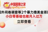 国外问卷调查等2个暴力撸美金项目，小白零基础也能月入过万