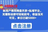 新用户推荐网盘共享+私域平台，无需粉丝即可轻松起号，收益当天可见，单日已破5000+【揭秘】
